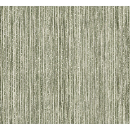 PAPEL PINTADO TEXTURA IMPRESA BAMBOO VERDE VERDE