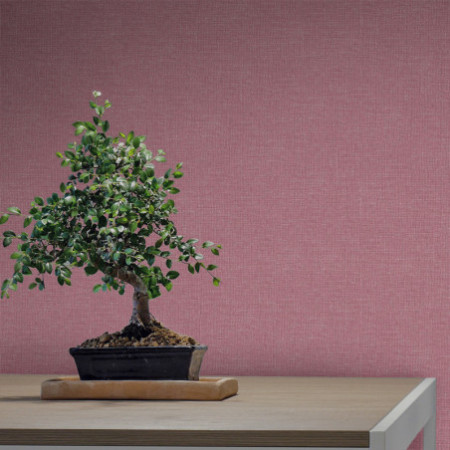 Naif Plain rojo