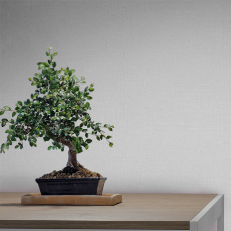 Naif Plain gris